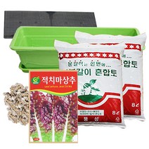 행복한세상 텃밭가꾸기 대 화이트 뚝섬적치마상추, 1개