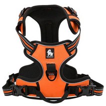 트루러브 하네스 오렌지 TLH5651, 1개