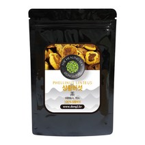 동이약초 중국산 상황버섯, 100g, 1개