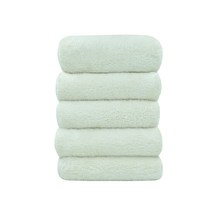 프라임타월 프리미엄 극세사수건, 베이지, 5개