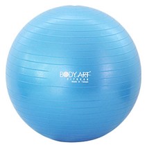 안티버스트 가정용 짐볼 65cm 레드 임산부짐볼 pt볼, 블루
