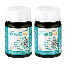 영진약품 비타민B 플러스8, 60정, 2개