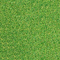 베스트그린 굳센글로벌 고밀도 인조롤잔디 GX800 100cm x 300cm, 인조잔디, 1개