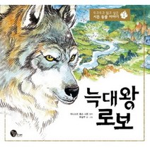 늑대 왕 로보, 청어람주니어