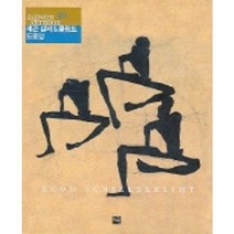 에곤 실레 & 클림트 드로잉, 재원, 이성섭 저