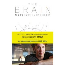 더 브레인:삶에서 뇌는 얼마나 중요한가? 뇌를 알면 알수록 세상이 다르게 보인다, 해나무, 데이비드 이글먼 저/전대호 역