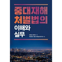 중대재해처벌법의 이해와 실무, 바른북스, 임영섭최은영 재단법인 피플 미래일터연구원