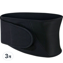 나음다름 기본형 허리 보호대 XL, 3개