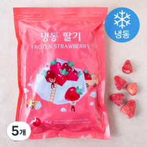 딸기 (냉동), 1kg, 5개