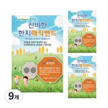 금황제지 신비한 한지 매직밴드 90p, 9개