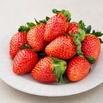 곰곰 유기농 고령 딸기, 500g, 1팩