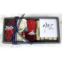 다우에프앤지 조화 이베리스 프리져브드 카네이션 미니용돈박스, 레드