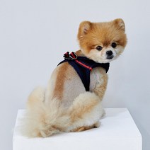 리얼펫 4계절슬림 조끼하네스, BLACK