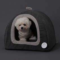 레드퍼피 벨 컬러풀 반려동물 하우스, 딥그레이