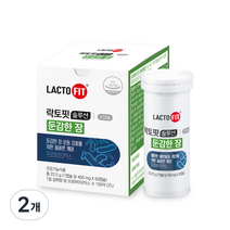 종근당건강 락토핏 솔루션 1 둔감한 장, 50정, 2개