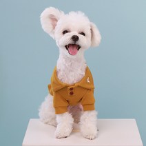 쁘띠도그 아토카라 티셔츠, 머스타드