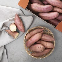 맛있는 호박고구마(햇), 1.5kg, 1개