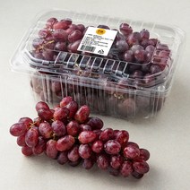 PSK 칠레 씨없는 적포도, 1.8kg, 1개