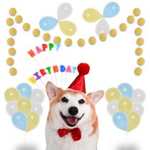 딩동펫 반려동물 생일파티 용품세트, 레드글리터, 1세트