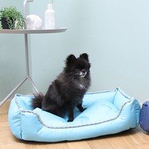 펫트롱 데일리 쿠션방석, 블루