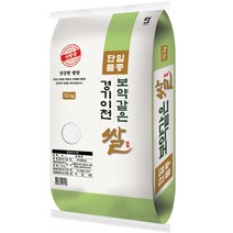 22년 햅쌀 대한농산 보약같은 경기이천쌀, 1개, 10kg(상등급)