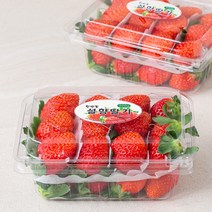 산지직송 한반도 설향 딸기, 500g, 2팩