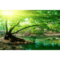하우디 내츄럴벽지, N-1132