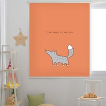 끌레망스 미니폭스일반 롤스크린