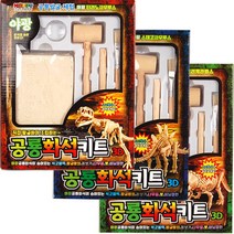 야광공룡화석키트 9개입, 1box