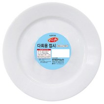 롯데이라이프 다회용 접시 230mm, 10개입, 1개