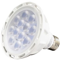 룩스램 LED PAR30 12W(15W대체형) 집중형, 주광색, 1개