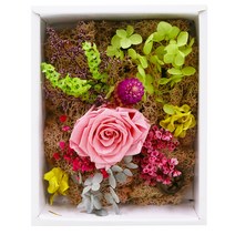 액자 꽃다발 프리저브드 플라워, 핑크(GRF#028)