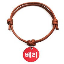 펫츠룩 굿모닝 카라멜 반려동물 목걸이 M + 알미늄원형 팬던트 S, 레드(베리), 1개