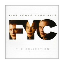 Fine Young Carnival - The Collection EU수입반, 1CD