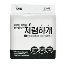 바이독 저렴하개 배변패드 사과향 100p, 1팩, 100매