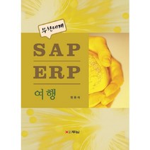 무한세계 SAP ERP 여행, 두남, 함용석