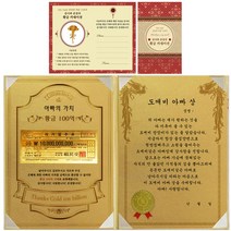 럭키심볼 어버이날 아빠의 가치 100억 감사장, 도깨비 아빠 상