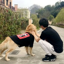 노랜드 TLB Bomei 강아지 + 여성 견주 커플옷 대형견용, 혼합 색상