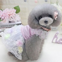 에이프릴16 반려동물 꽃장식 진주알 드레스, 핑크