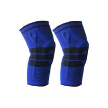 라이프플러스 매쉬 무릎보호대 블루 L 7095, 2개입