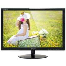 라온 61.13cm 광시야각 LED 모니터, SG2410 LED(무결점)