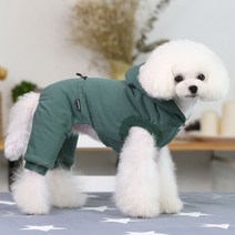 아이앤엘인스퍼레이션 강아지 겨울 패딩 올인원, GREEN