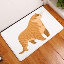 이엘피코리아 이웃집 고양이 발매트, 타입5