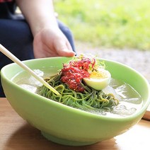 칠린 멜라민 웨어 오발 다용도보울 특대, 그린, 1개