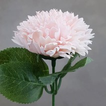블랙앤화이트 비누꽃 카네이션 50p + 잎사귀꽃대, 연핑크