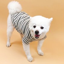 세븐펫 강아지옷 심플 단가라 티셔츠, 그레이
