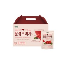 자연원 문경 오미자즙, 100ml, 20개