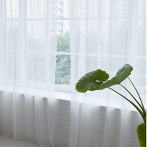 마마즈홈 스퀘어 레이스 커튼