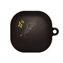 바니몽 갤럭시 버즈라이브 / 버즈2/버즈프로 필오프 하드케이스, 01 블랙리버
