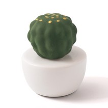 JCP 동글 선인장 테라피 오브제, 몽글